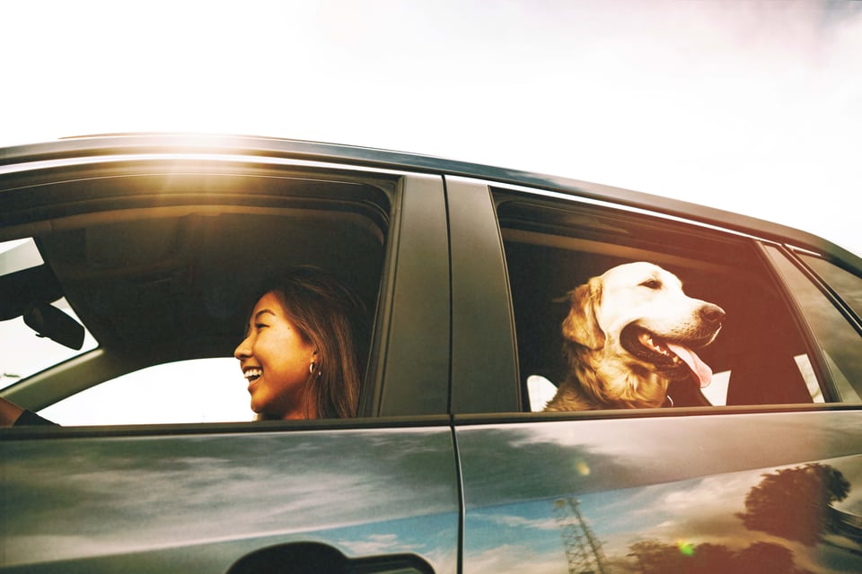 iStock-1216278125-tweak (1)